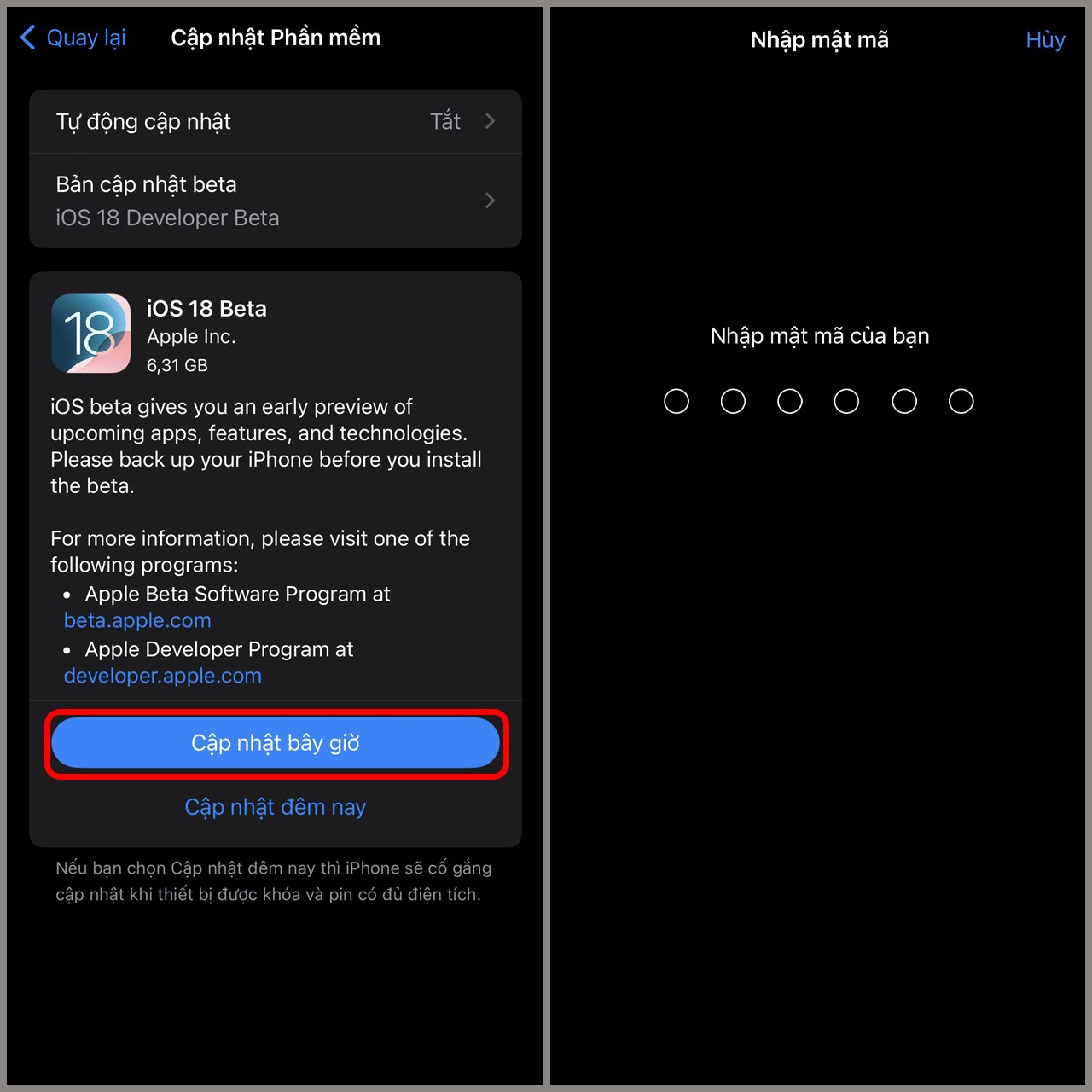 Nhập mật mã để bắt đầu tải về và cài đặt iOS 18 Beta 1 nhé Nhập mật mã để bắt đầu tải về và cài đặt iOS 18 Beta 1 nhé